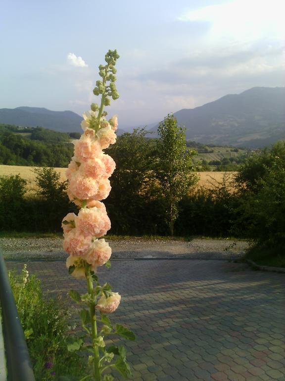 Poggio D'Incanto Bettola  Dış mekan fotoğraf